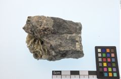 Foto von Gold Gediegen (NHMW-MIN-Ai664)